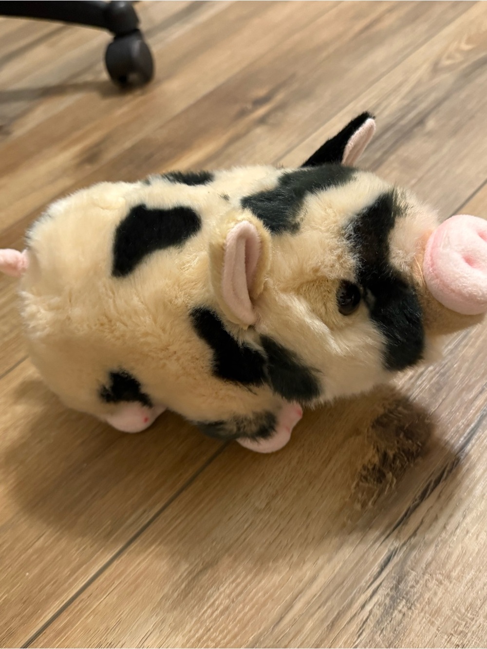 Plush Black & Cream Piglet Small Pet Toy - Soft Stuffed Animal
